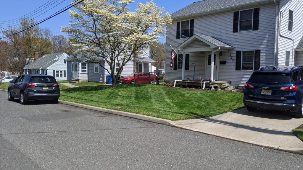Looking For Weekly Lawn Care Affordable Senior Citizen Lawn Care